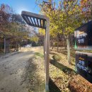 장아산근린공원 | 의정부 직동 근린공원 피크닉 정원 가는 길|가을 단풍 가득한 힐링 산책