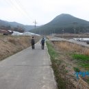 부여(홍산)-04 Daum카페