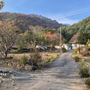 백암버스정류장 이미지