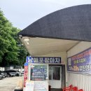 나의바다 | 당진 안섬포구 남매포장마차 나의 또간집 바다 뷰 칼국수 맛집 방문 후기