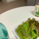 최강회수산 이미지