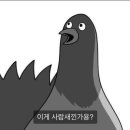 카페볼레길 이미지
