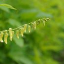 하천리-6 이미지