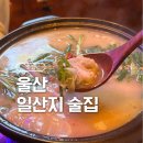 번덕 | 울산 일산지 술집 욧삐떼 솔직후기