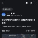 당근마켓 알바 근황 이미지