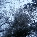 낙민공원 공중화장실 이미지