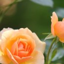 54부동산공인중개사사무소 이미지