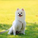 Cafe  몽스파 이미지