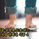 체중 감량에 도움 되는 저지방 단백질 식품 4 이미지