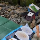 장항송림할머니백숙 - 군산시 양안로 19 | 군산 누룽지백숙 삼계탕 맛집 조촌동 장항할머니 계곡에 싸들고감