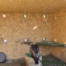 (주)스마일관광 | 2025년 12월 넷째주 일상