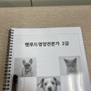 [안계] 홈베이킹 2급 자격증반 | 직장인 내일배움카드 I 펫푸드영양전문가과정 2급 자격증 1주차 후기