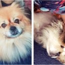 죽어주는 이야기 이미지