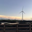 풍차와노을 이미지