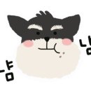강아지밥집