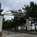 새보성식당 | 목포, 보성 | 전라도 캠핑, 목포 시골여행, 보성율포해수욕장, 율포해수녹차센터, 보성 다향회관