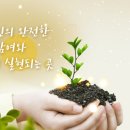 서울 장애인복지관 1210 이미지