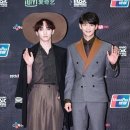 샤이니펫 헤럴드경제