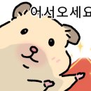 라플라너리