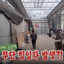 봉동농장 이미지