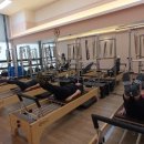 필라테스골프(216) | [금천구 필라테스] 리포머 필라테스 하체 부종 타파! 남녀노소 누구나 안전하게 즐기는 맞춤형 레슨 후기