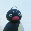 교감 | 싱가포르 오셔너리움 돌고래 교감 체험 솔직 후기 (가격 &amp; 예약 꿀팁)