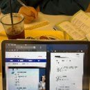 벨라애견카페 이미지