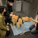 프랑소와펫 아카데미 이미지