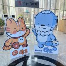 무지개 동산 이미지