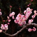 2018-주054 이미지