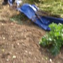 재순농장 이미지