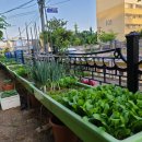 부농농약사 이미지