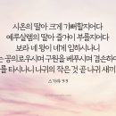 공의롭고 겸손하신 구원자 이미지