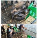 등대바다낚시터 이미지