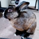 귀소농장 이미지