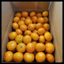 다미 농장 이미지