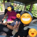 [경기용인] 골드 cc (마스터 아웃, 마스터 인) 라운드 후기~!!
