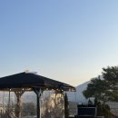 디나우스 이미지