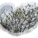 강내어린이집 이미지