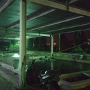 인삼송어장 이미지