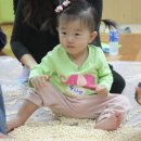 요미팡팡