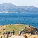 바람의언덕 이미지