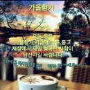 세기냉열 이미지