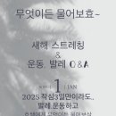 최효정발레스튜디오 이미지