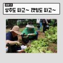 큰솔농장 이미지