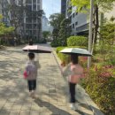 우산양산할인판매점 | 가벼운 양산 추천 아르데코 124g 초경량 암막 양산 우산겸용 후기