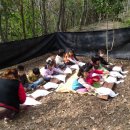 바다유치원 이미지