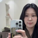 앤피팅 이미지