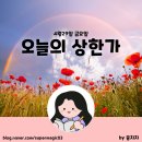 SH코스메틱 이미지