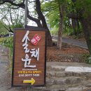 솔채운 이미지